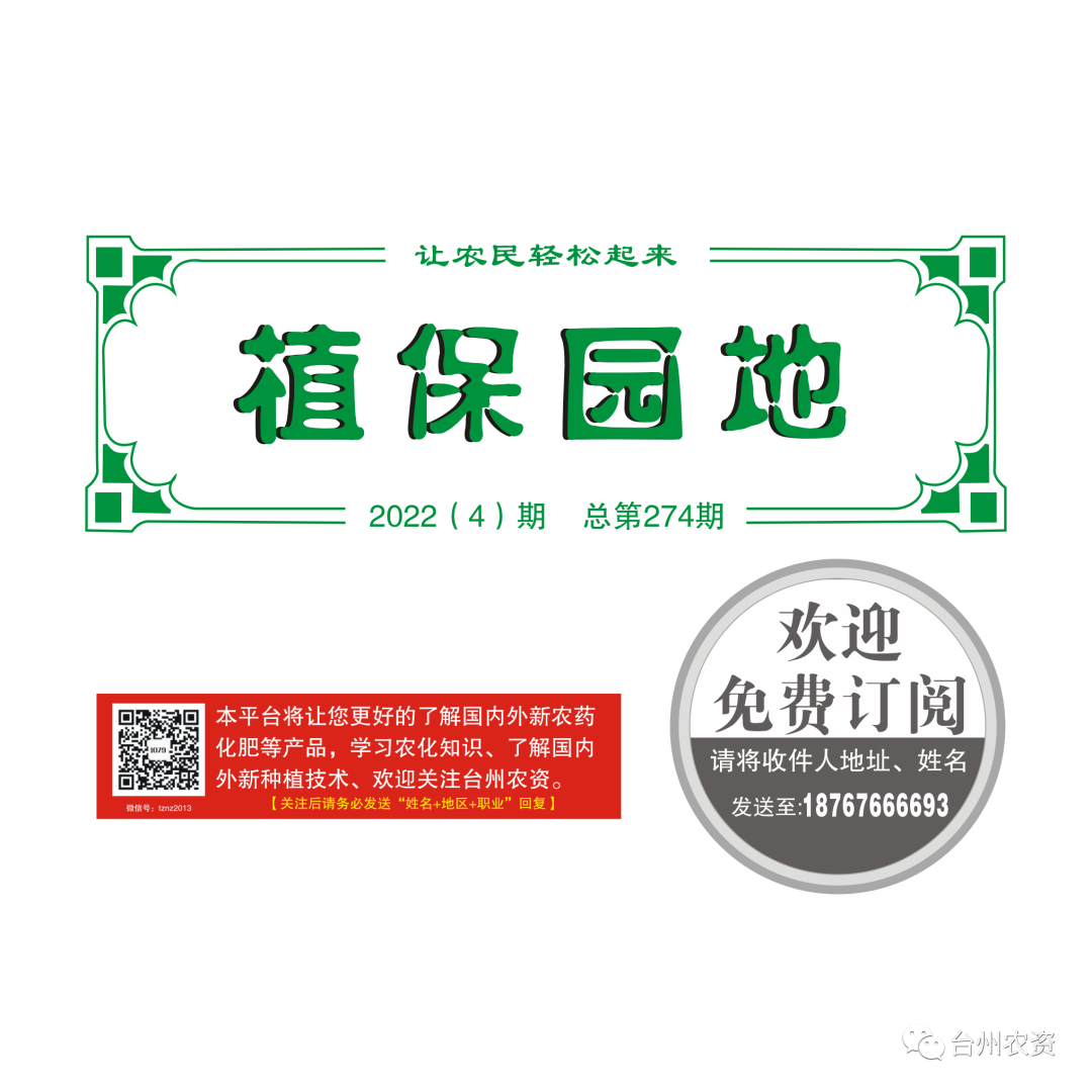 氣溫驟降，大棚西瓜做好以下幾點(diǎn)工作